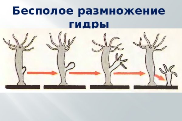 Что с кракеном сайт